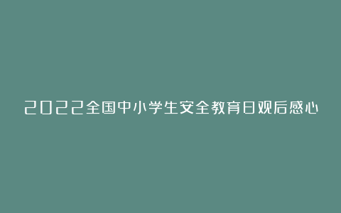 2022全国中小学生安全教育日观后感心得