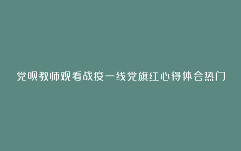 党员教师观看战疫一线党旗红心得体会热门