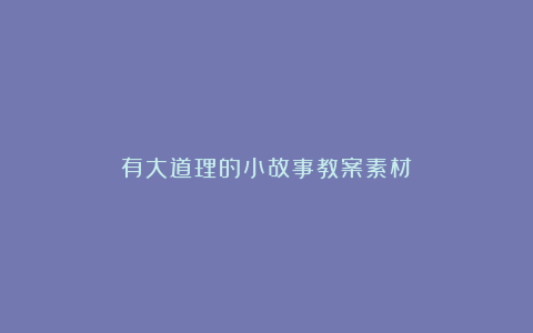 有大道理的小故事教案素材