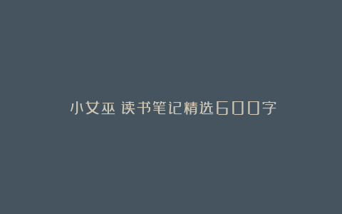 《小女巫》读书笔记精选600字