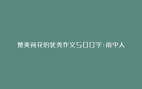 赞美荷花的优秀作文500字:雨中人