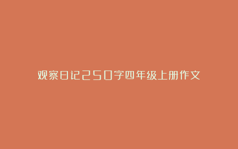 观察日记250字四年级上册作文