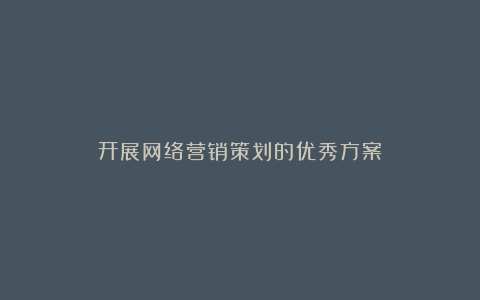 开展网络营销策划的优秀方案