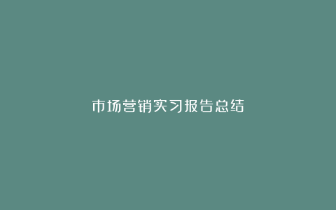 市场营销实习报告总结