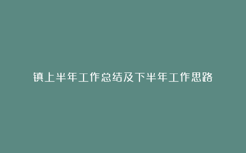 镇上半年工作总结及下半年工作思路