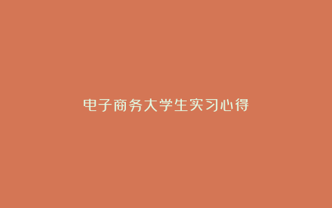 电子商务大学生实习心得