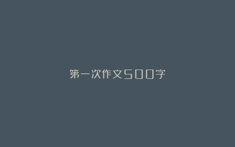 第一次作文500字