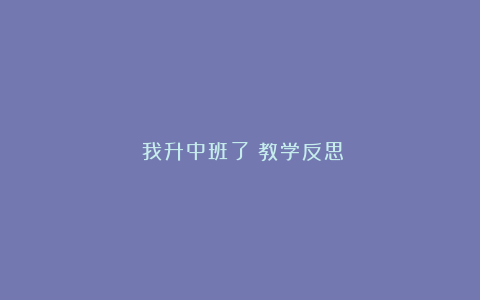 《我升中班了》教学反思