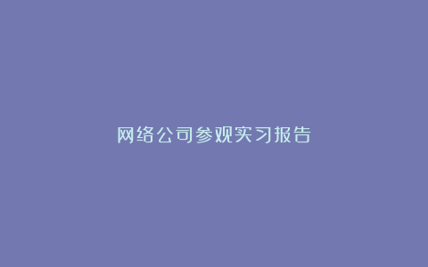 网络公司参观实习报告