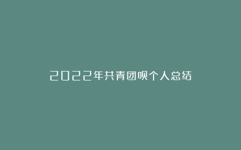 2022年共青团员个人总结