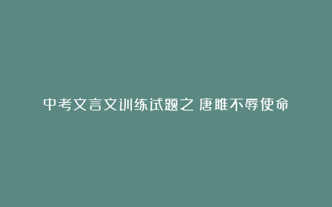 中考文言文训练试题之《唐雎不辱使命》