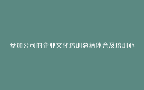 参加公司的企业文化培训总结体会及培训心得