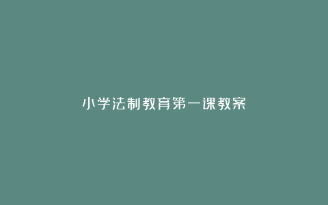 小学法制教育第一课教案