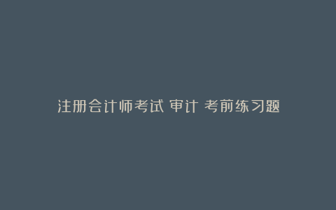 注册会计师考试《审计》考前练习题