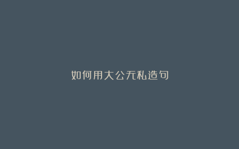 如何用大公无私造句