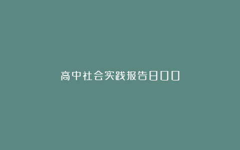 高中社会实践报告800