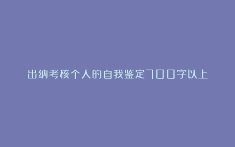 出纳考核个人的自我鉴定700字以上