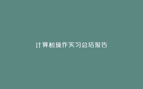 计算机操作实习总结报告