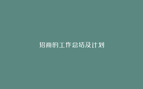 招商的工作总结及计划