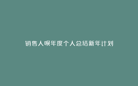 销售人员年度个人总结新年计划