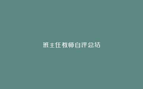 班主任教师自评总结