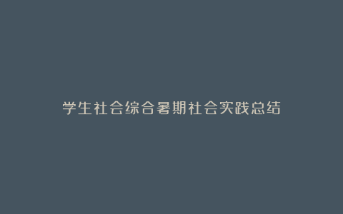 学生社会综合暑期社会实践总结