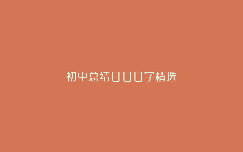 初中总结800字精选