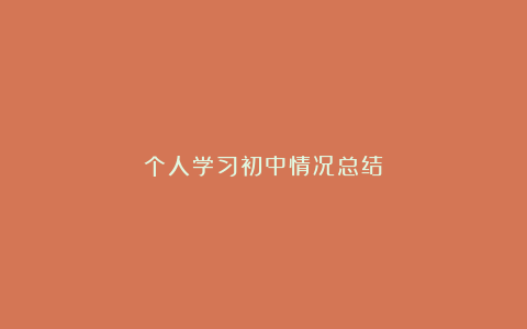 个人学习初中情况总结