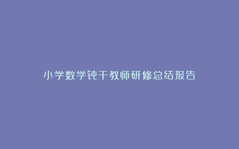 小学数学骨干教师研修总结报告