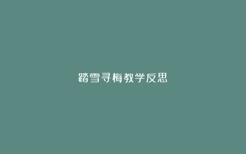 踏雪寻梅教学反思