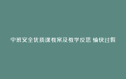 中班安全优质课教案及教学反思《愉快过假期》