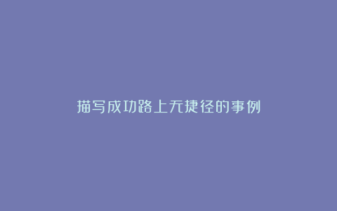 描写成功路上无捷径的事例