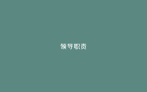 领导职责