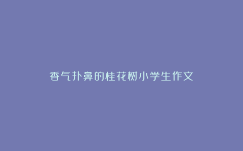 香气扑鼻的桂花树小学生作文