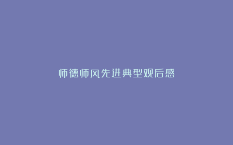 师德师风先进典型观后感