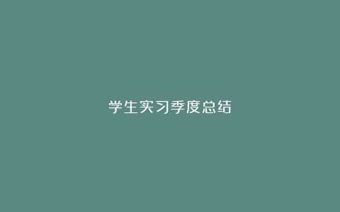 学生实习季度总结