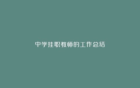 中学挂职教师的工作总结