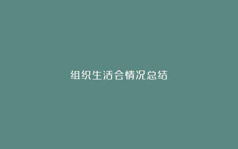 组织生活会情况总结