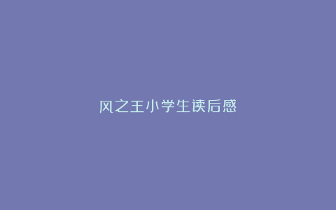 风之王小学生读后感