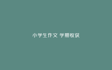 小学生作文：学期收获