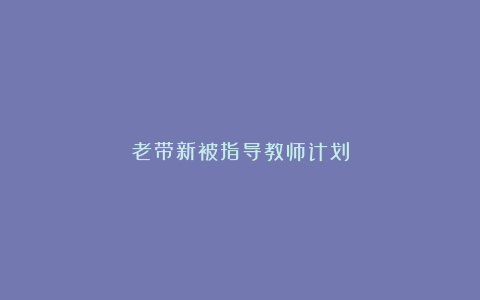 老带新被指导教师计划