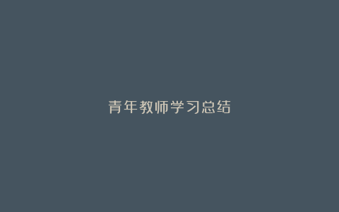 青年教师学习总结