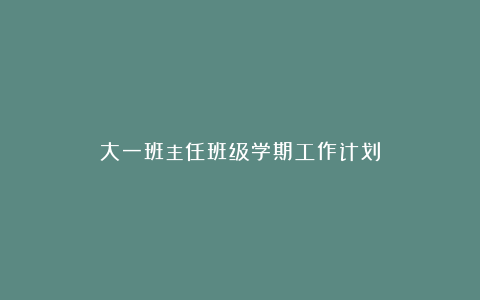 大一班主任班级学期工作计划