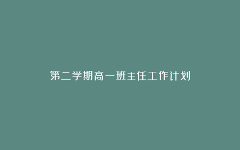 第二学期高一班主任工作计划