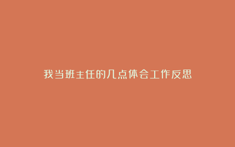 我当班主任的几点体会工作反思