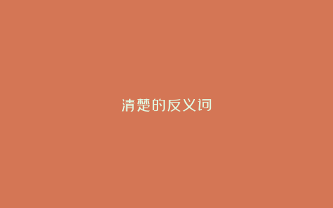 清楚的反义词