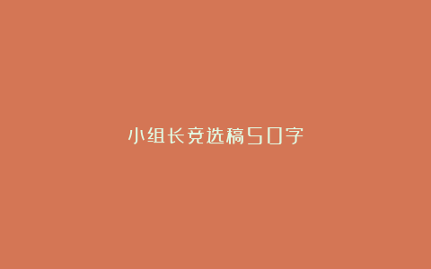 小组长竞选稿50字