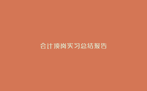 会计顶岗实习总结报告