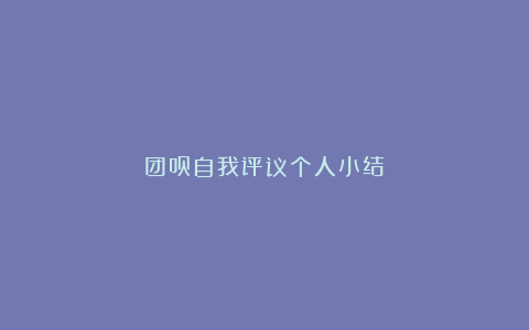 团员自我评议个人小结