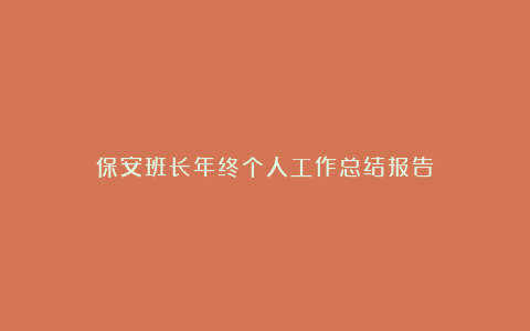 保安班长年终个人工作总结报告